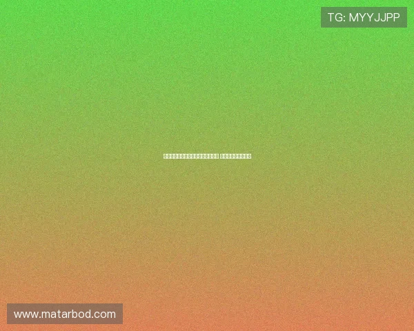 外媒高度评价张伟丽为中国体育新星 打破格局的全球传奇